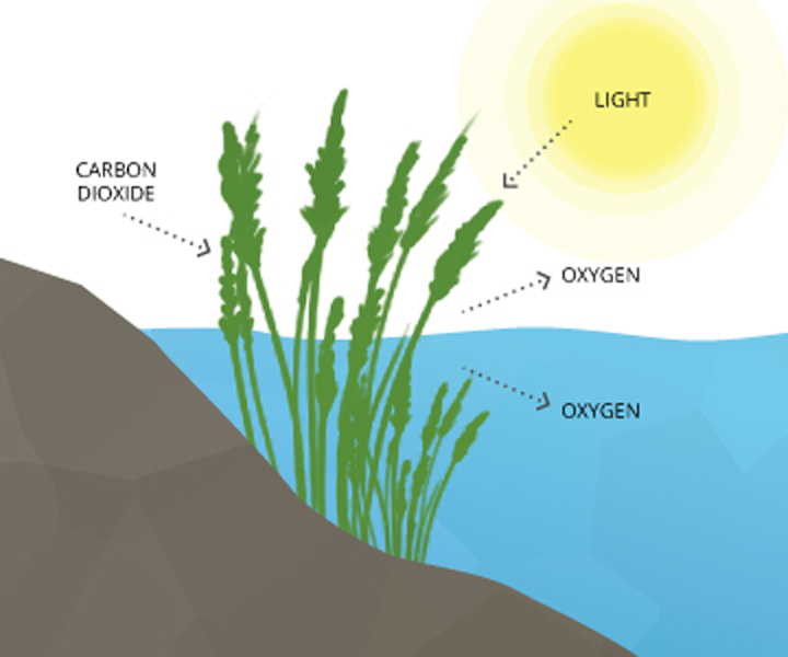 Atmosphere Formation